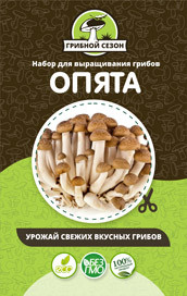 Домашняя грибница в Москве