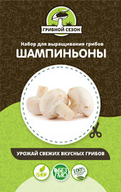 Домашняя грибница в Москве