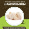 Домашняя грибница в Красноярске 11