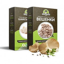 Домашняя грибница