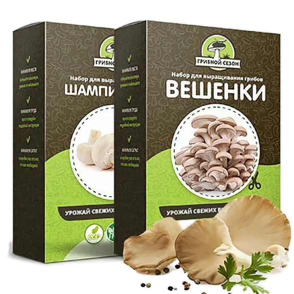 Домашняя грибница в Ижевске