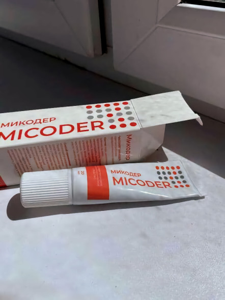 Микодер в Москве