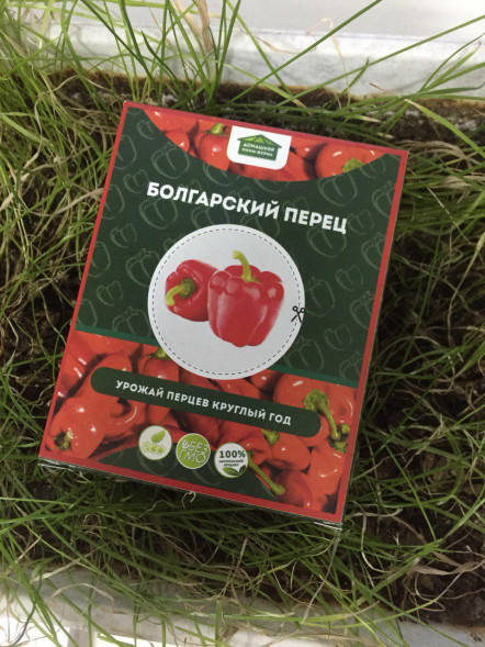 Домашняя мини-ферма в Балашихе