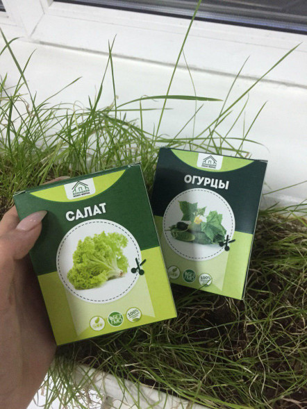 Домашняя мини-ферма в Балашихе