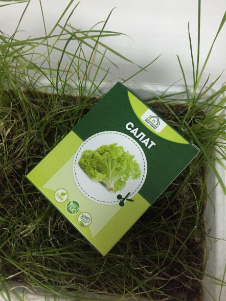 Домашняя мини-ферма в Балашихе