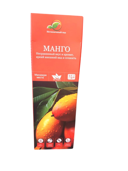 Мини-деревья Манго в Ростове-на-Дону