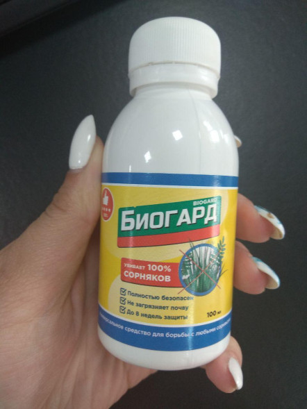 Биогард (Biogard) в Калининграде