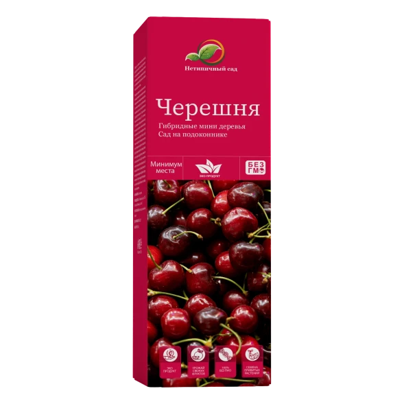 Мини-деревья Черешня в Ижевске