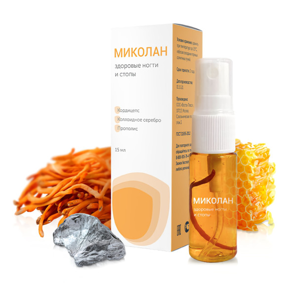 Миколан в Нижнем Тагиле